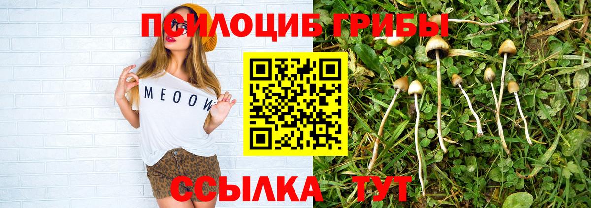 Галлюциногенные грибы Cubensis Нальчик