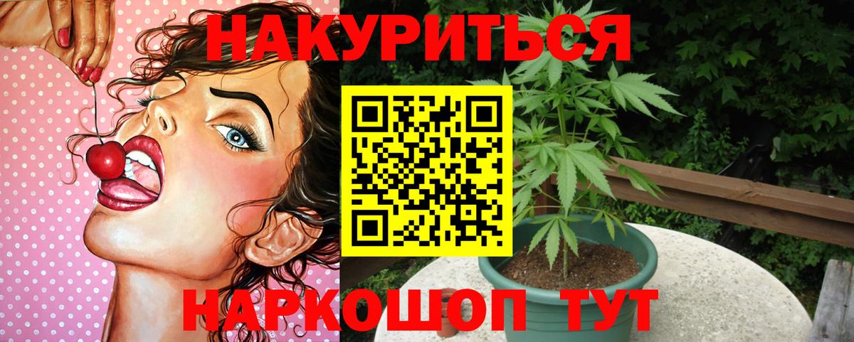 Каннабис план Нальчик